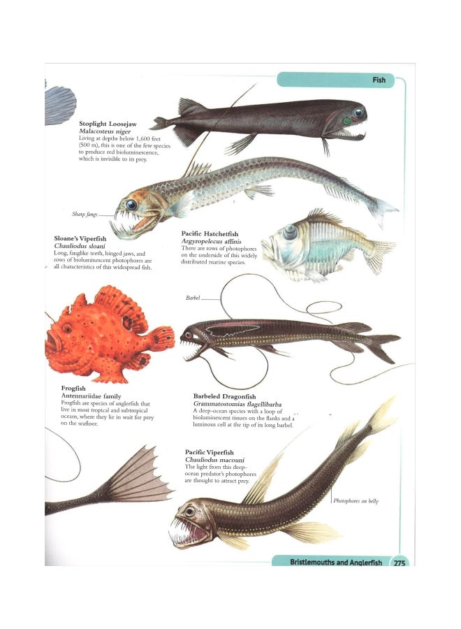 The Encyclopedia Of Animals Hardcover English by Tim Harris - Image 2