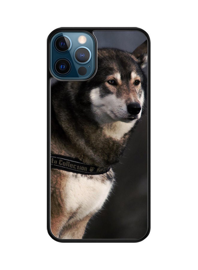 SYN Protective Case Cover For iPhone 12 Pro Multicolour