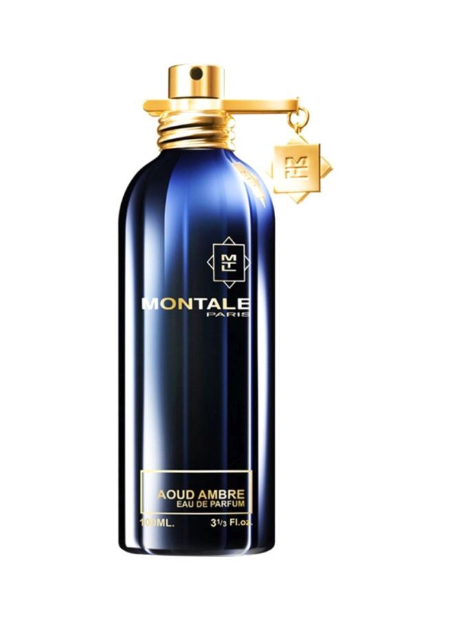 MONTALE Aoud Ambre EDP 100ml - Image 1
