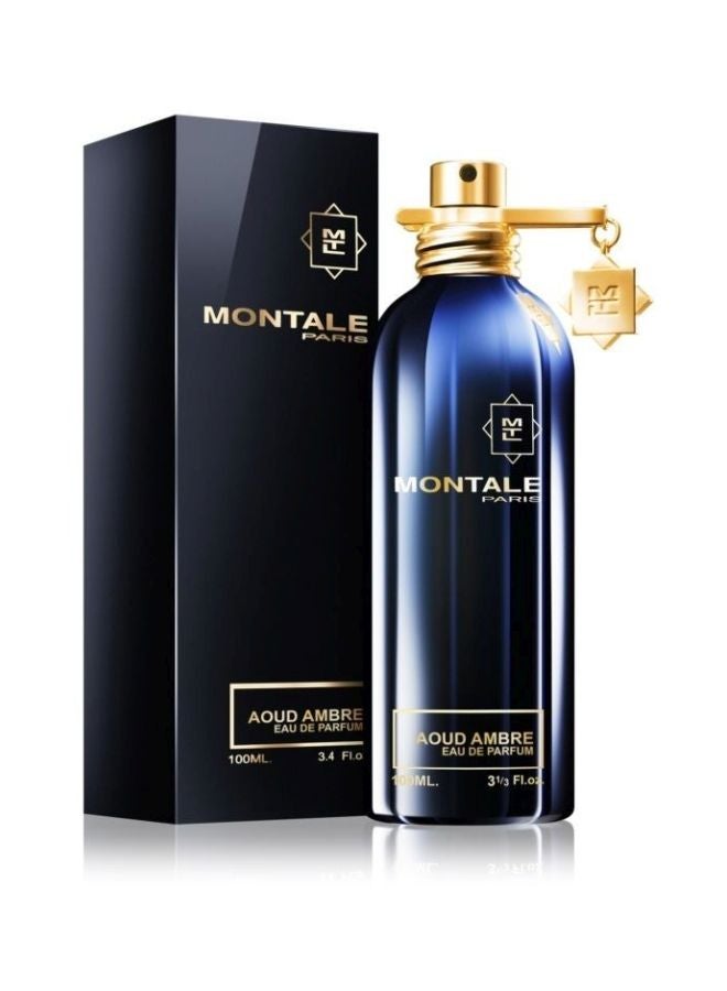 MONTALE Aoud Ambre EDP 100ml - Image 2
