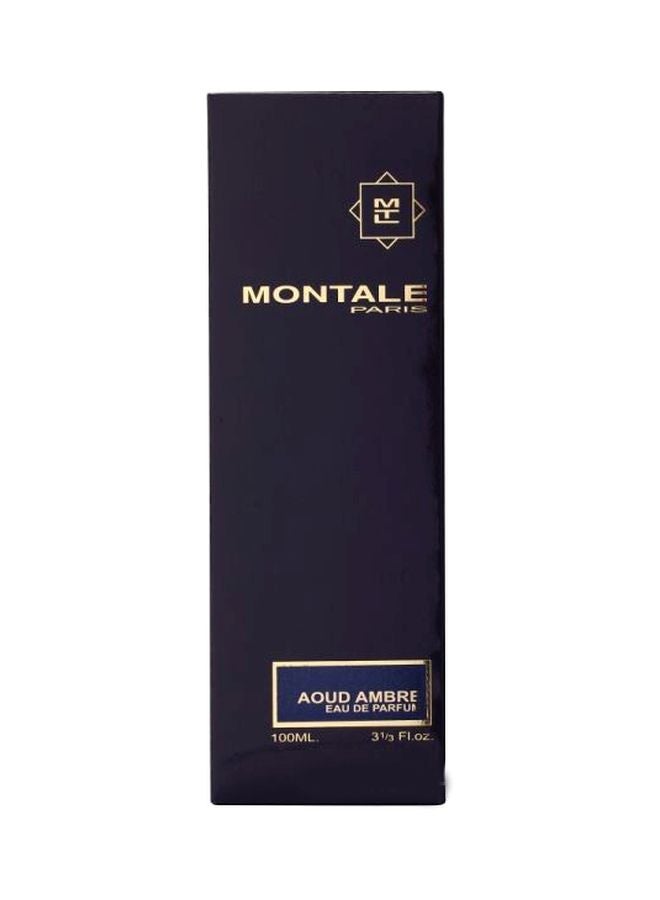 MONTALE Aoud Ambre EDP 100ml - Image 3