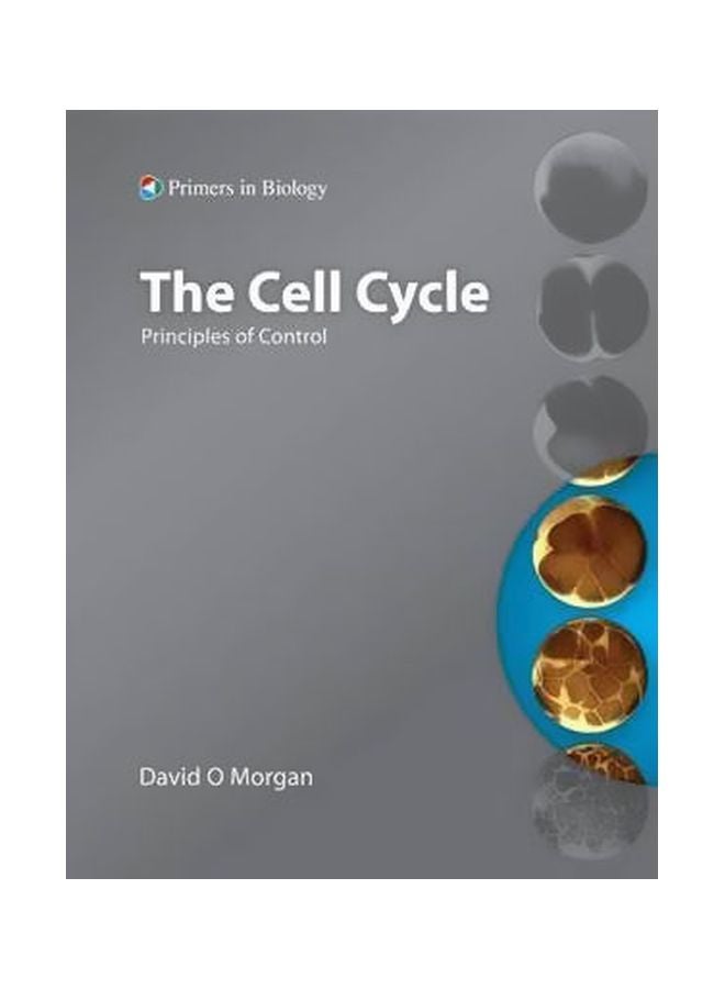 The Cell Cycle: Principles Of Control Paperback English by David Morgan - 01 Sep 2006 