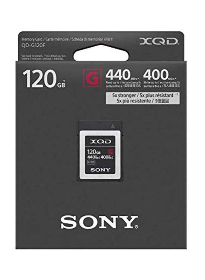 Sony - XQD G-Series Memory Card Black/Silver - Image 1