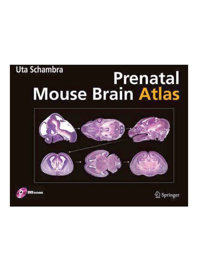 Prenatal Mouse Brain Atlas Paperback English by Uta Schambra - 11 Jul 2008