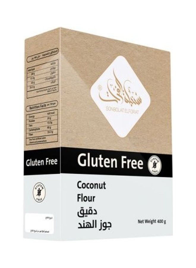 سنبلة الفرات - دقيق جوز الهند 400جرام - Image 1