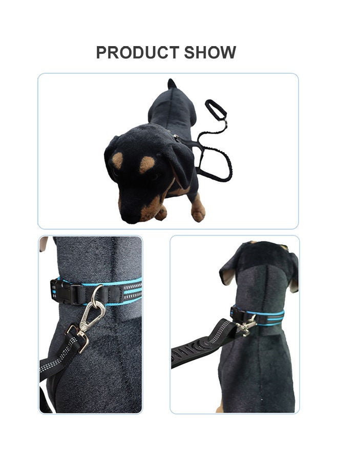 Dog Training Leash with Comfortable Padded Handle blue 23.00 x 5.00 x 13.00cm - Image 2