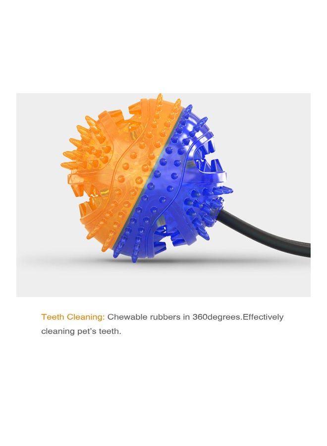 Dog Molar Bite and Chew Toy Multicolour 24.00 x 11.50 x 22.00cm - Image 3