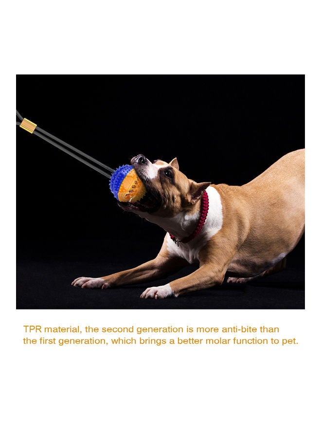 Dog Molar Bite and Chew Toy Multicolour 24.00 x 11.50 x 22.00cm - Image 2