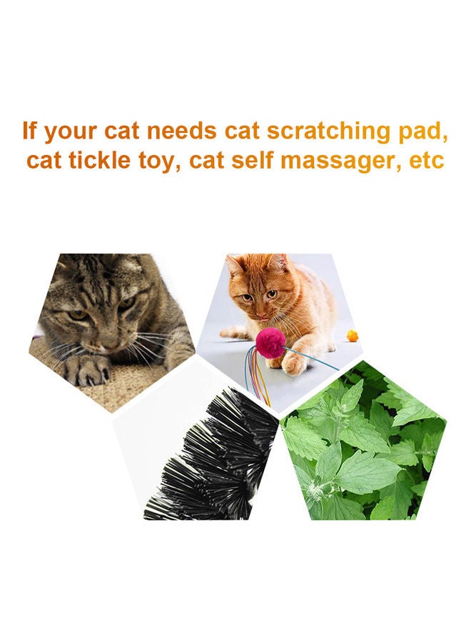 Cat Self Massager Multicolour 36.50 x 5.00 x 28.50cm - Image 5