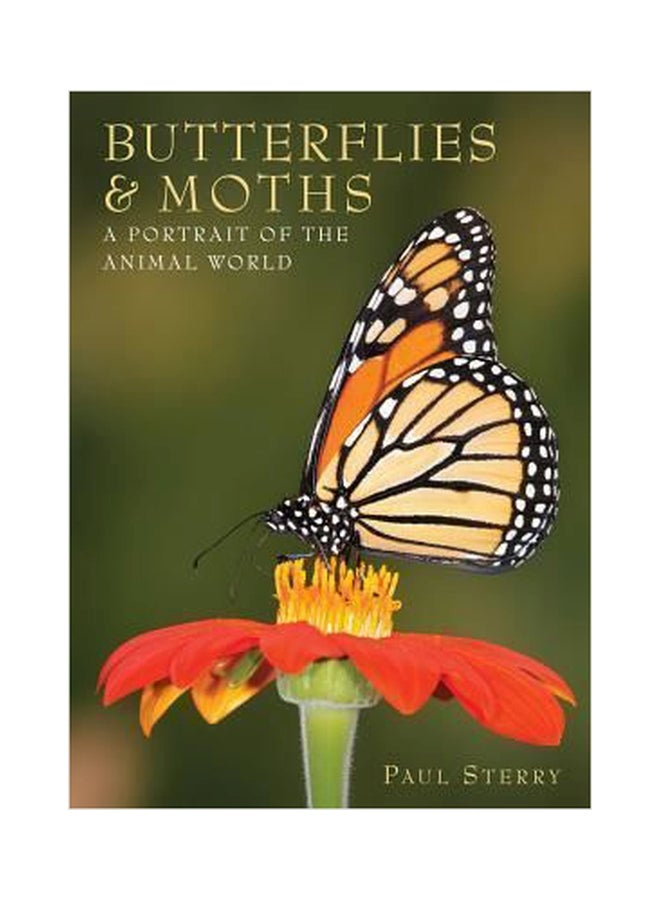 Butterflies And Moths : A Portrait Of The Animal World paperback english - 01032018