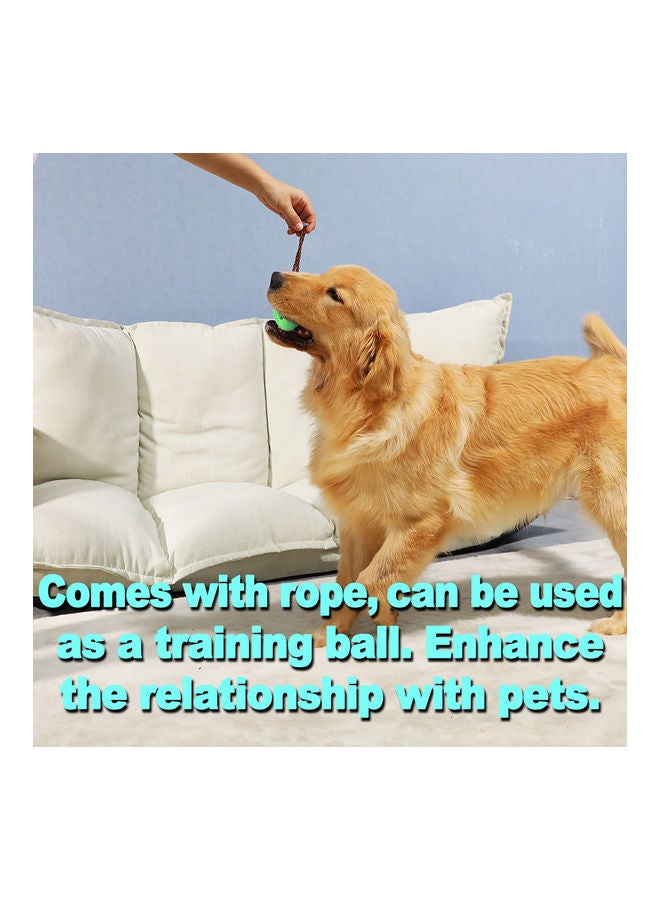 لعبة مضغ على شكل كرة للتدريب وتنظيف الأسنان وتوزيع الطعام أخضر 12 x 6سم - Image 4