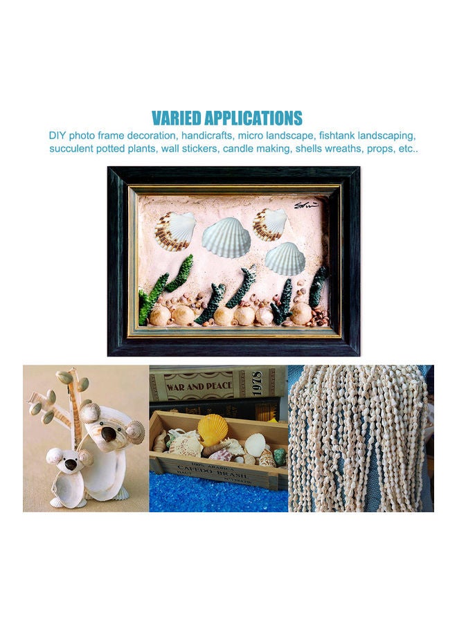 Varied Size Seashells Mixed for Beach Theme White 20.00 x 5.00 x 15.00cm