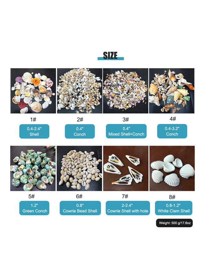 Varied Size Seashells Mixed for Beach Theme White 20.00 x 5.00 x 15.00cm