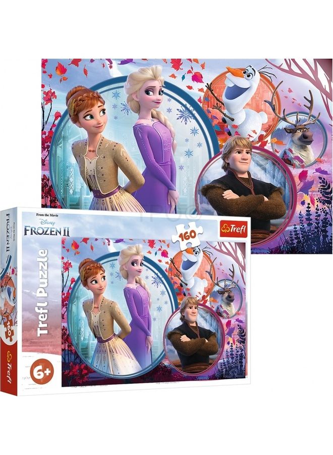 160-Piece Disney Frozen 2 Jigsaw Puzzles Playset 41x28cm - v1607603837/N42942978A_1