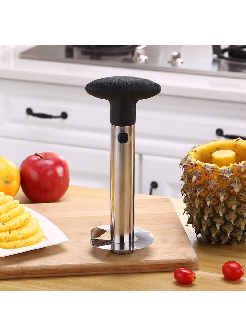 Steel Pineapple Cutter Green 24x10x10cm - v1607685522/N42334857A_5