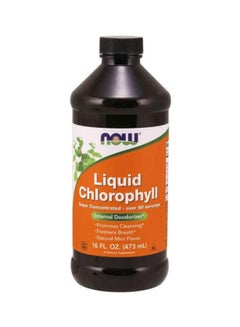 Internal Deodorizer Liquid Chlorophyll - Mint 473 ML
