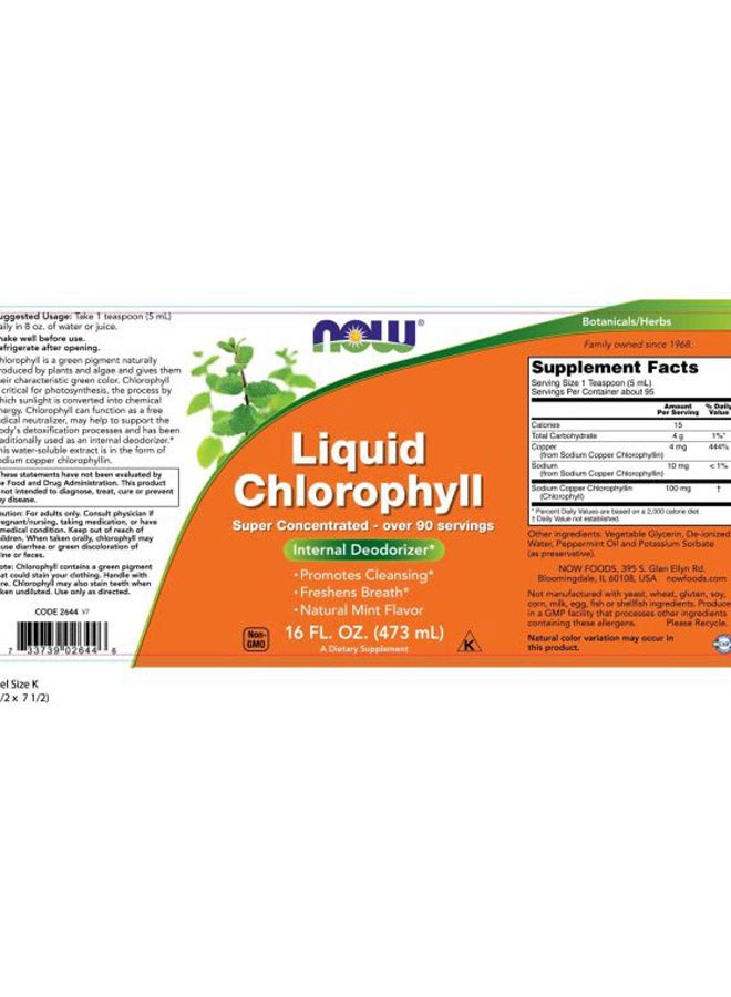 Now Foods - Internal Deodorizer Liquid Chlorophyll - Mint 473 ML - Image 1