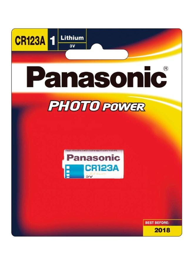Panasonic Photo Power Battery - Image 1