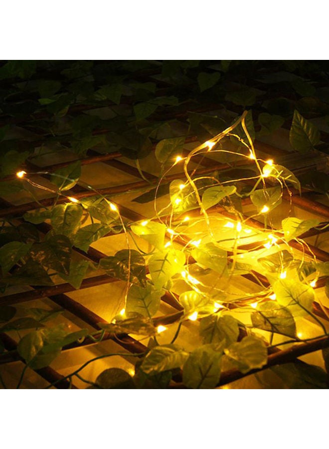 50 Light USB 5V Power Supply String Light Multicolour 5meter