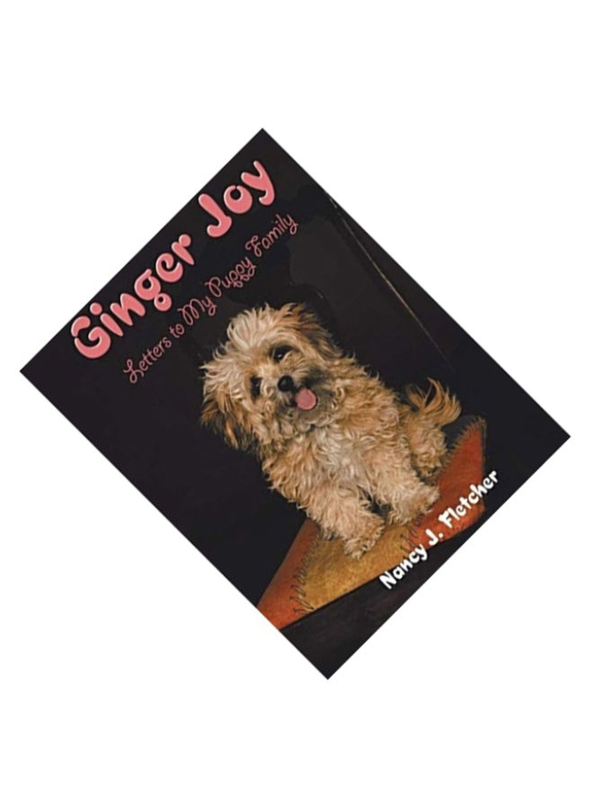 Ginger Joy paperback english  - Image 2