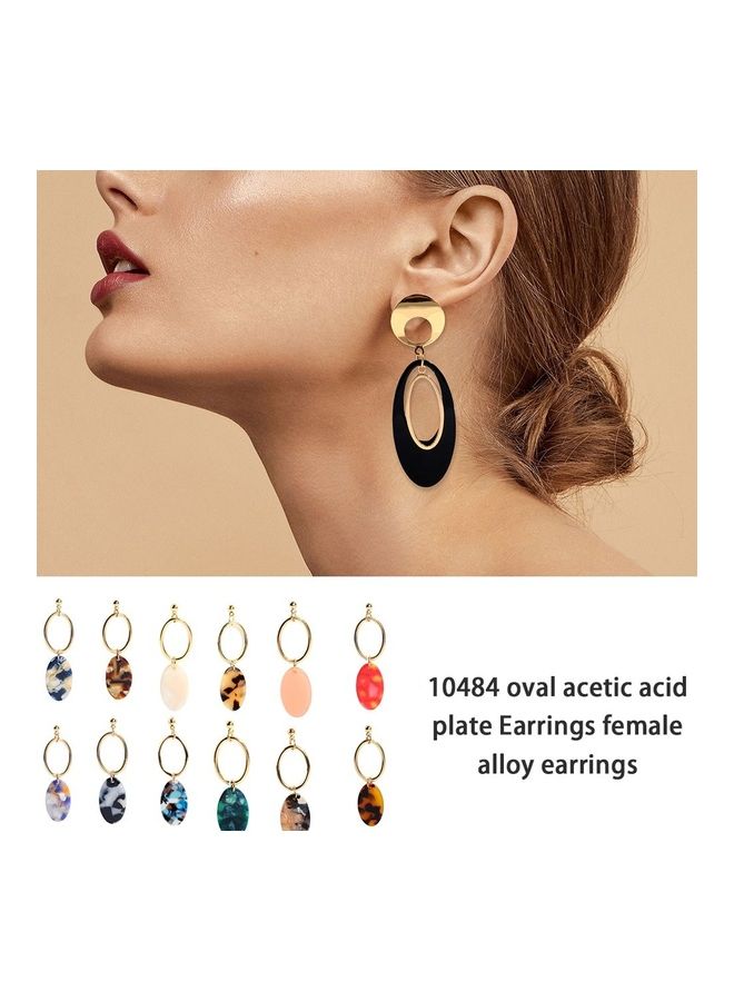 Oval Acetate Plate Earrings Female Alloy Earrings Acrylic Earrings Long - Image 4