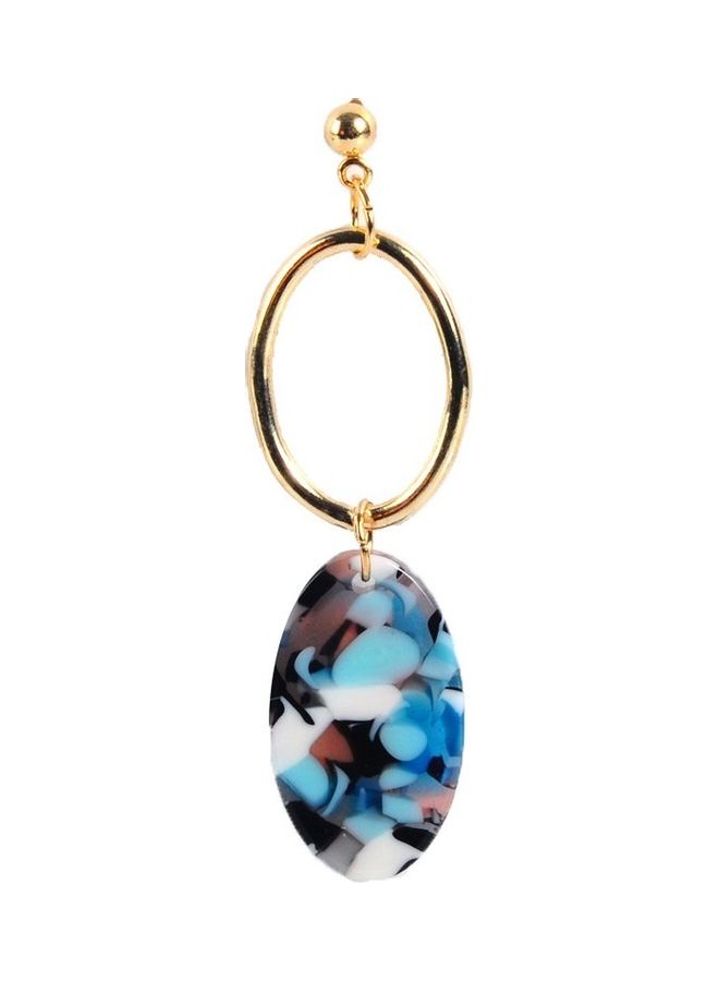 Oval Acetate Plate Earrings Female Alloy Earrings Acrylic Earrings Long - Image 1