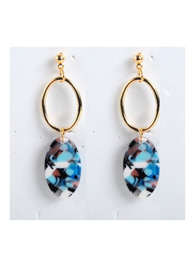 Oval Acetate Plate Earrings Female Alloy Earrings Acrylic Earrings Long - Image 2