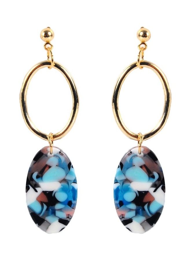 Oval Acetate Plate Earrings Female Alloy Earrings Acrylic Earrings Long - Image 3