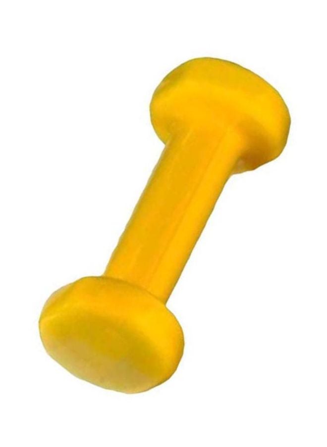 فيتنس ورلد دامبل برأس كلاسيكي 4كيلوجرام  - Image 2