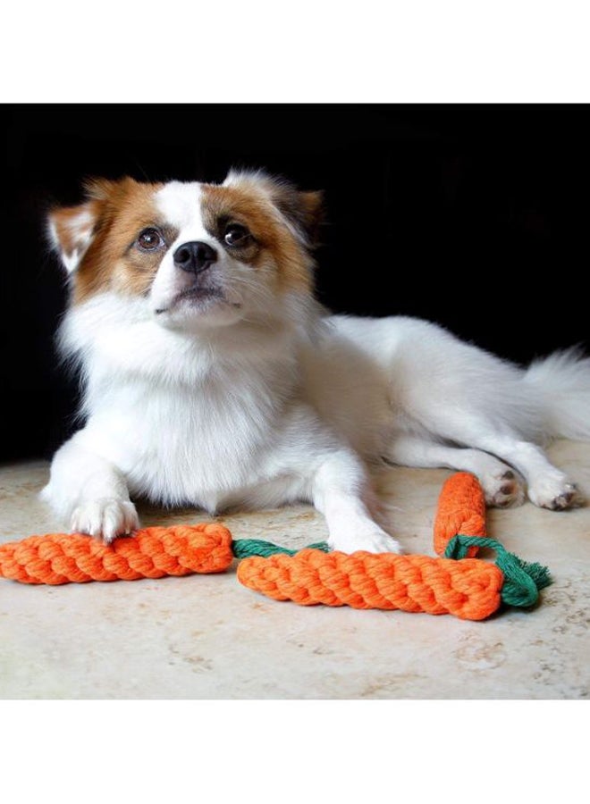 بيوينتي ألعاب مضغ للجرو بتصميم جزرة، 3 قطع برتقالي/أخضر - Image 2