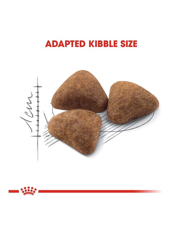 ROYAL CANIN Indoor Long Hair Pet Food Multicolour 2kg - Image 2