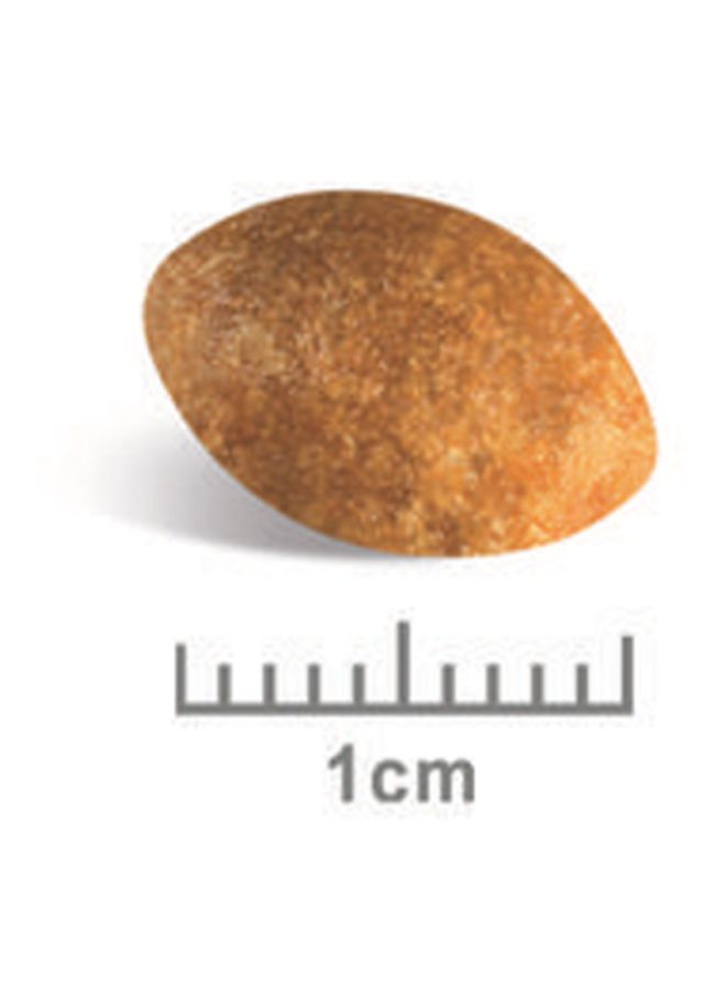 رويال كانين طعام للقطط الفارسية البالغة 10كيلوجرام - Image 4