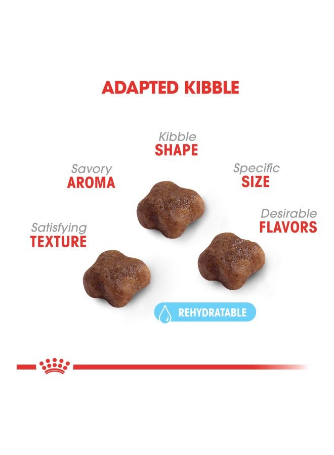 رويال كانين طعام جاف للقطط مناسب للأم وصغارها بني 400جرام - Image 2