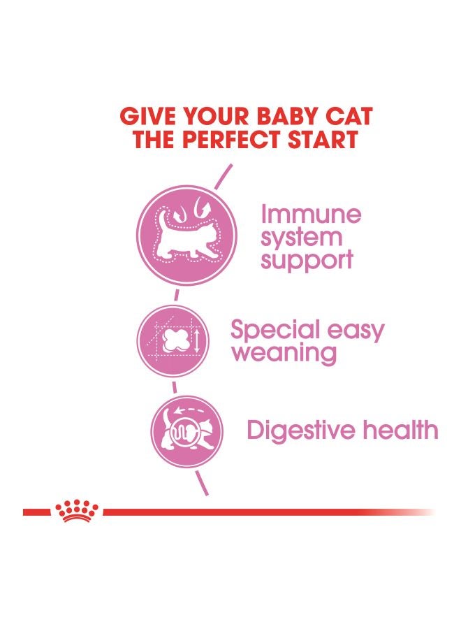 رويال كانين طعام جاف للقطط مناسب للأم وصغارها بني 400جرام - Image 3