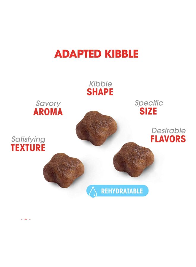 رويال كانين طعام قطط فيرست إيدج للأم والصغار 2كيلوجرام - Image 3