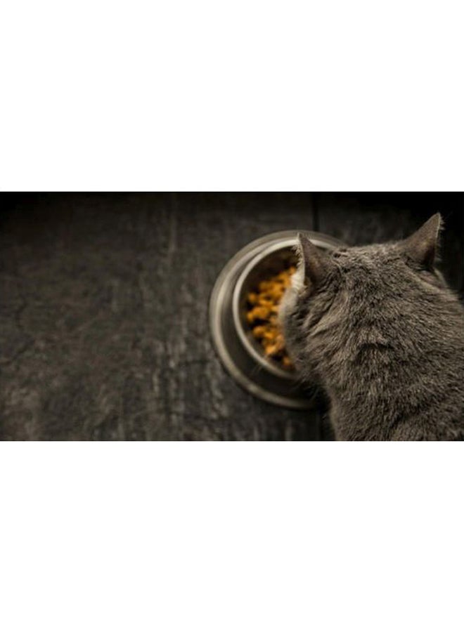 رويال كانين طعام مجفف للعناية بالجهاز البولي 2كيلوجرام - Image 2