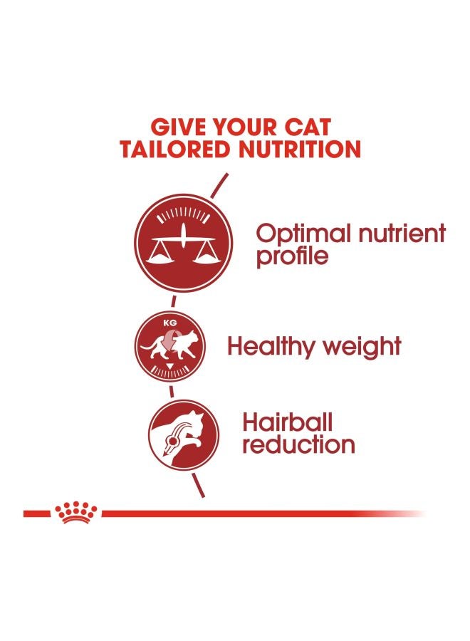 ROYAL CANIN Regular Fit 32 Dry Cat Food 4kg  - Image 2