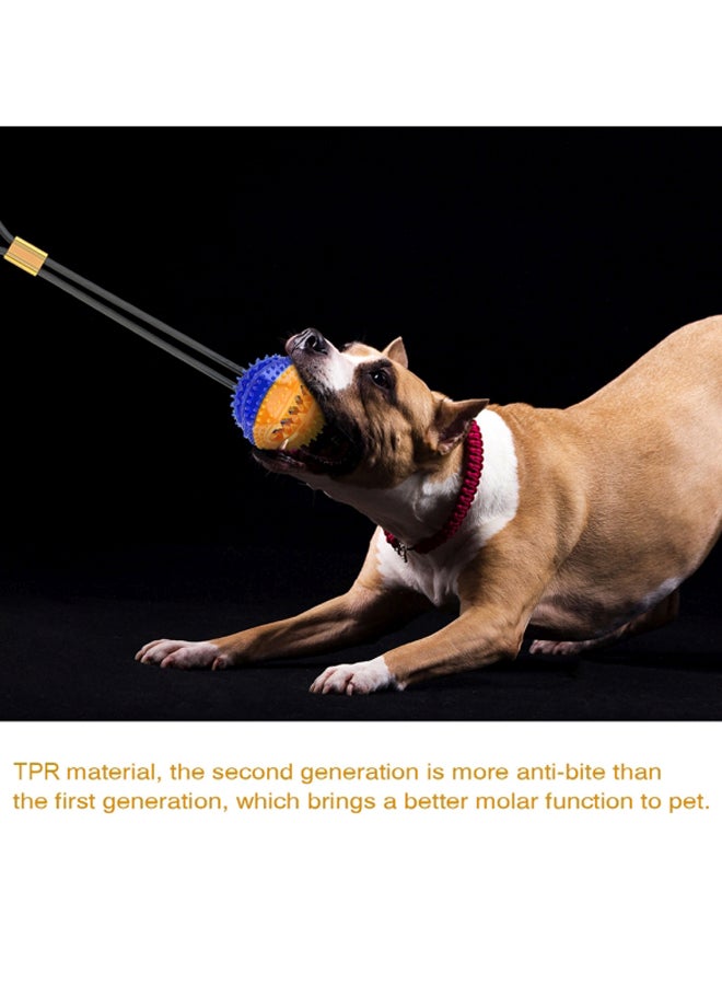 لعبة مولار بايت للكلاب متعدد الألوان 24.00x9.50x21.00سم - Image 3