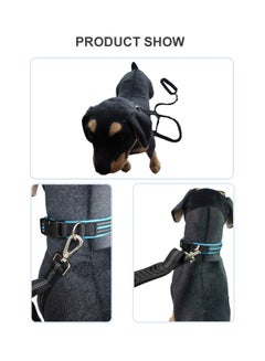 Dog Training Leash with Comfortable Padded Handle black 23.00x5.00x13.00cm - v1608030033/N42920123A_3