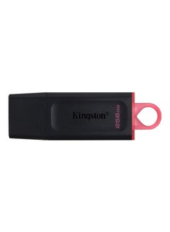 Kingston DataTraveler Exodia USB Flash Drive 256 GB  - Image 1