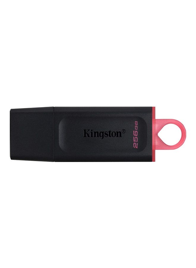 Kingston DataTraveler Exodia USB Flash Drive 256 GB  - Image 1