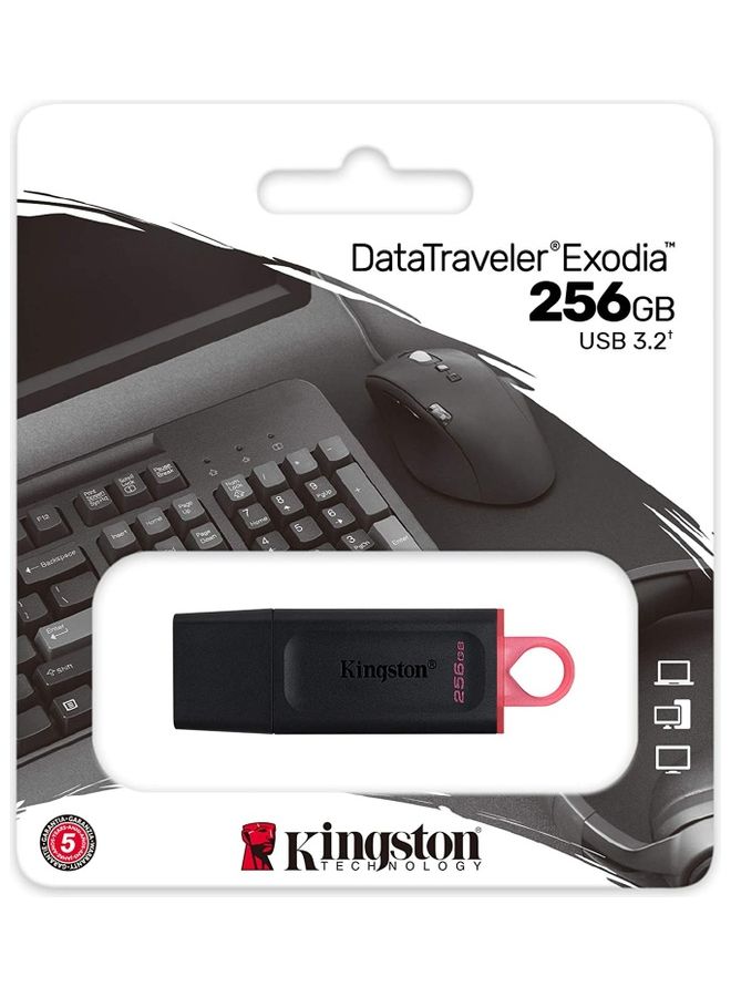 Kingston DataTraveler Exodia USB Flash Drive 256 GB  - Image 2