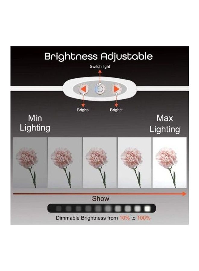 9-Piece Studio Light Box Portable Tent Kit White - Image 5