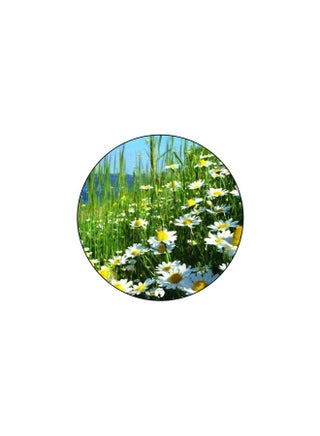 Printed Mouse Pad Multicolour - v1608048942/N43075729A_1