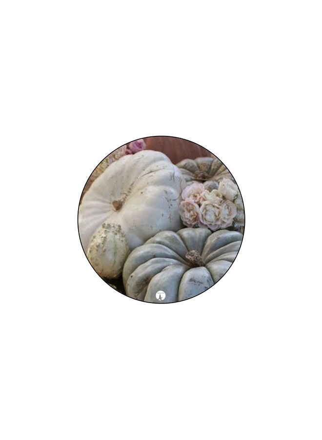 Printed Mouse Pad Multicolour