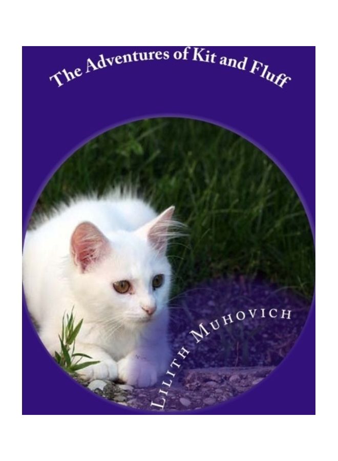 The Adventures Of Kit And Fluff paperback english 