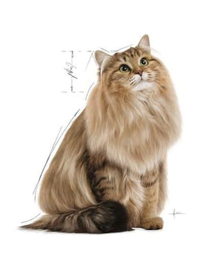 رويال كانين طعام رطب هيربول كير للقطط أزرق/ أبيض/ بني 85جرام - Image 3