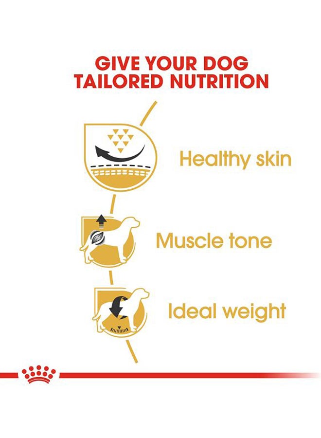 رويال كانين طعام صحي وجاف لتغذية سلالة كلب الباك بني 1.5كيلوجرام - Image 3