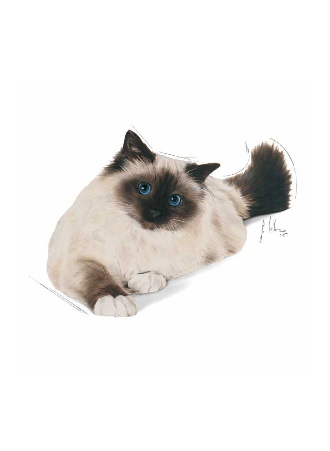 رويال كانين طعام مجفف هير بول كير 2كيلوجرام - Image 3