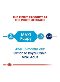 ROYAL CANIN Maxi Puppy Dry Food 4kg  - Image 3
